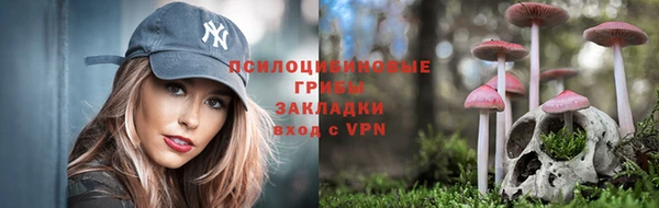 mix Алексин