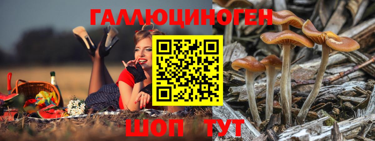 где купить наркотик  Вход с VPN  Ижевск  Псилоцибиновые грибы прущие грибы 